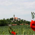 kloster andechs - "durch die blumen gesehen"