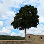 Kloster Arkadi auf Kreta 05