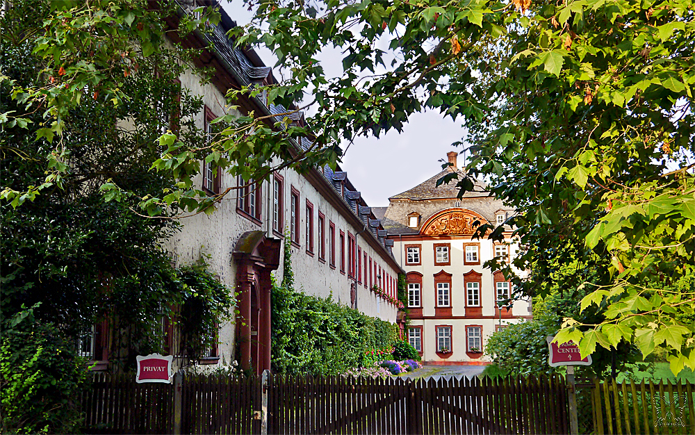 ~ Kloster Arnsburg ~