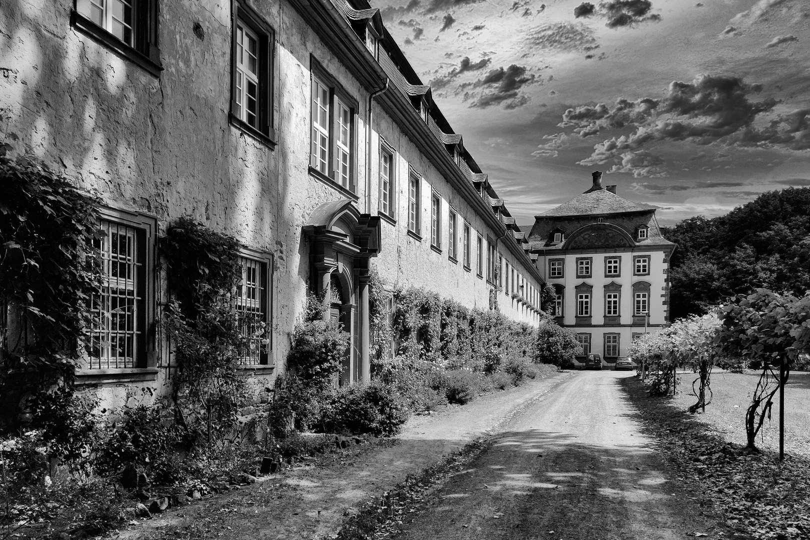 Kloster Arnsburg II