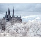 Kloster Bad Wimpfen IR