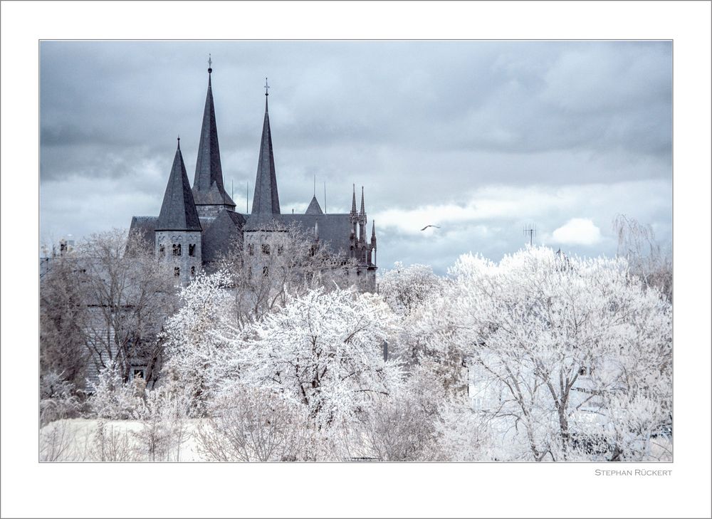 Kloster Bad Wimpfen IR