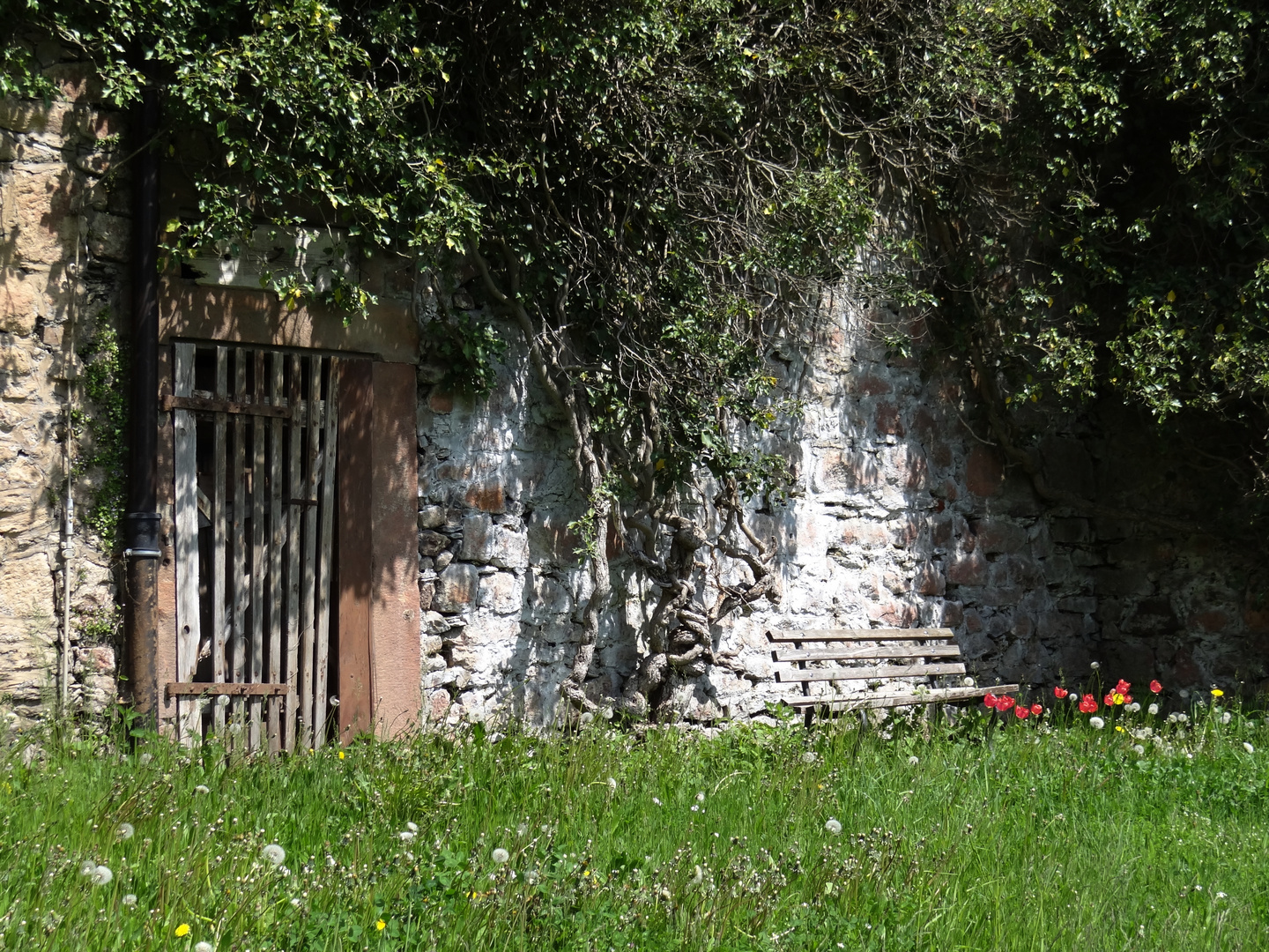 Kloster Basilika  Wechselburg