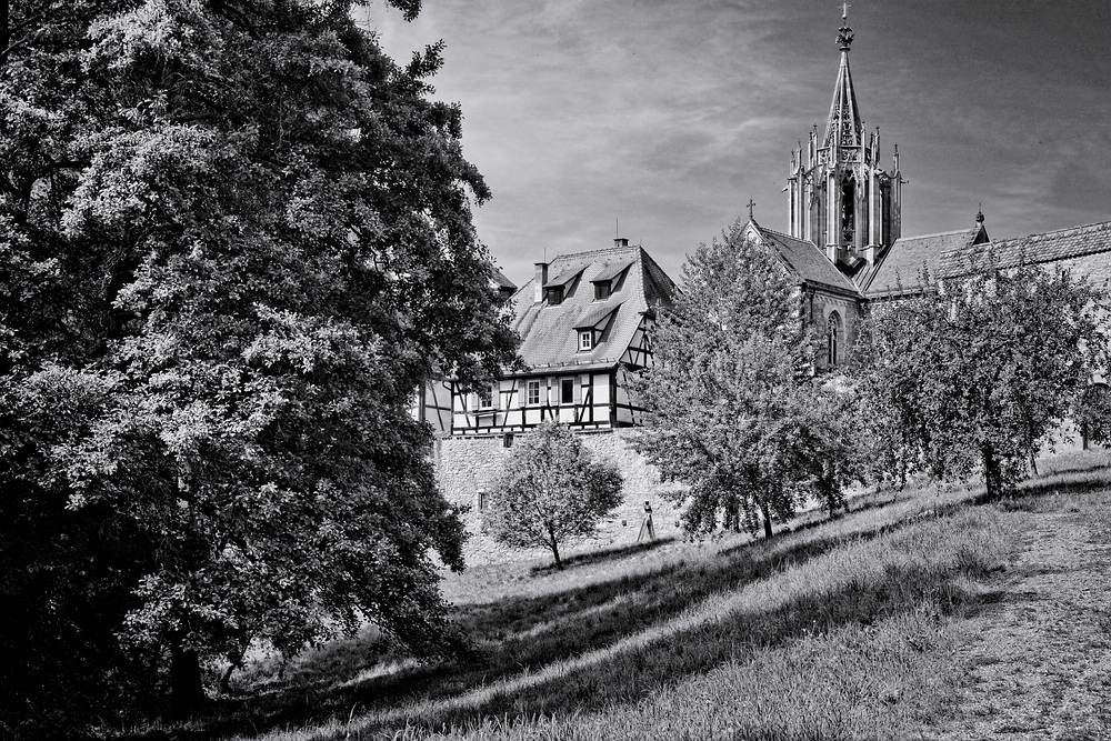 Kloster Bebenhausen (1)