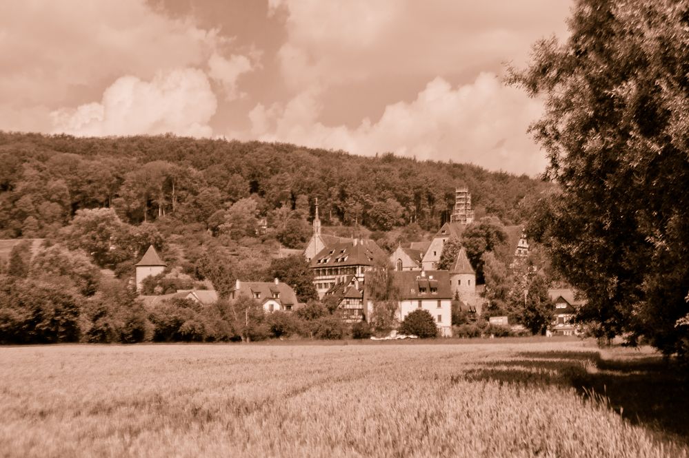 Kloster Bebenhausen I