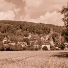 Kloster Bebenhausen I