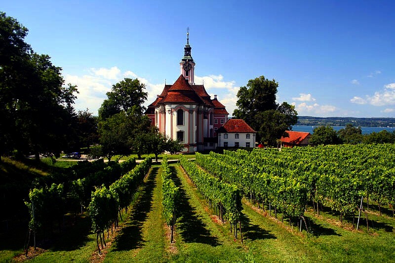 Kloster Birnau - Eingebettet zwischen Reben