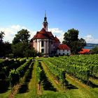 Kloster Birnau - Eingebettet zwischen Reben