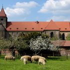 Kloster Breitenau-Guxhagen