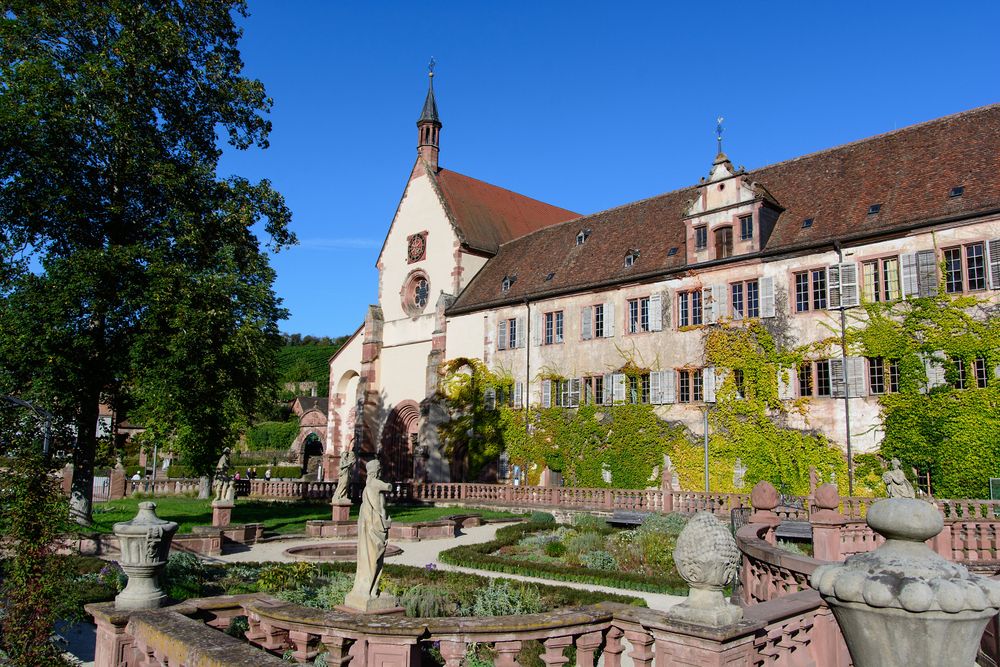 Kloster Bronnbach 1