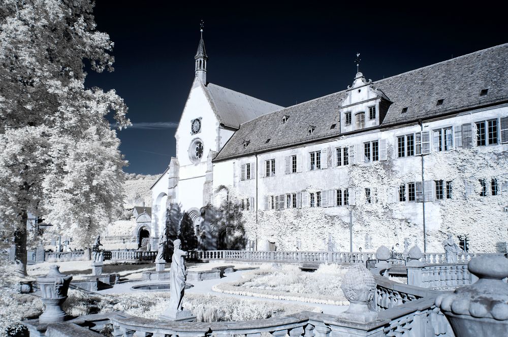 Kloster Bronnbach 2