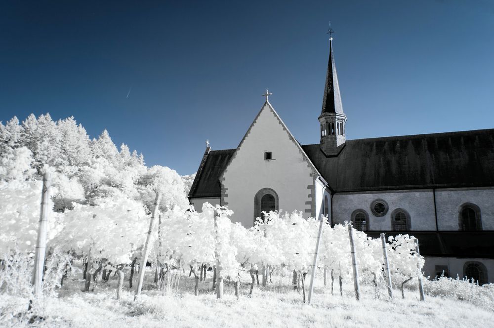 Kloster Bronnbach 5