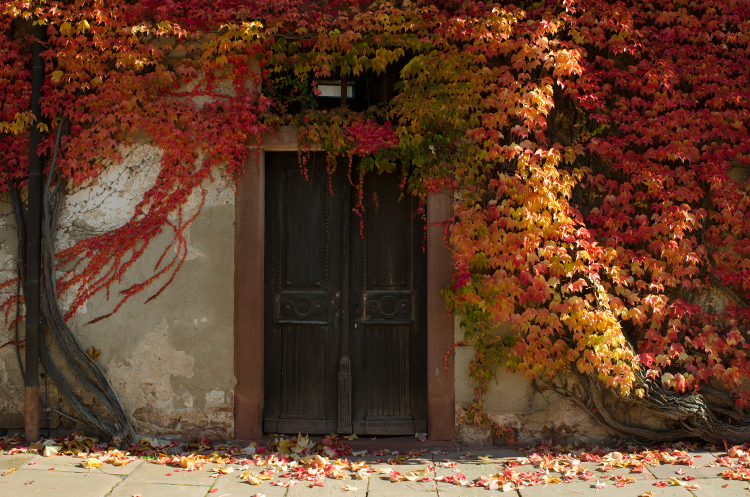 Kloster Bronnbach....Die Farben des Herbstes