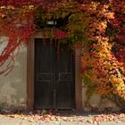 Kloster Bronnbach....Die Farben des Herbstes