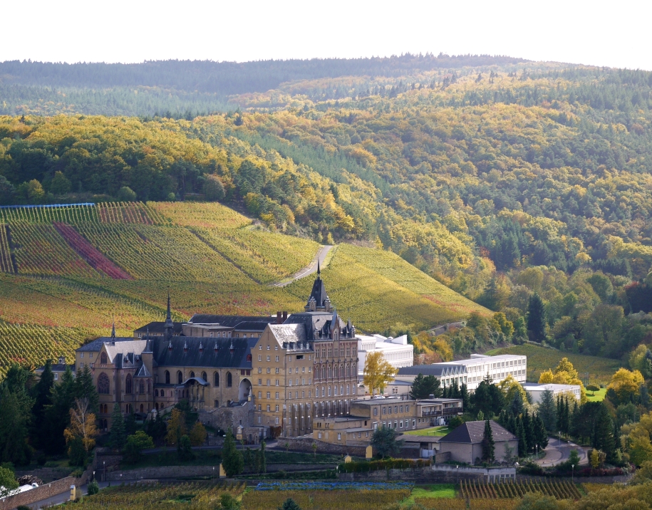 Kloster Calvarienberg