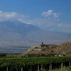 Kloster Chor Virap  vor dem Ararat