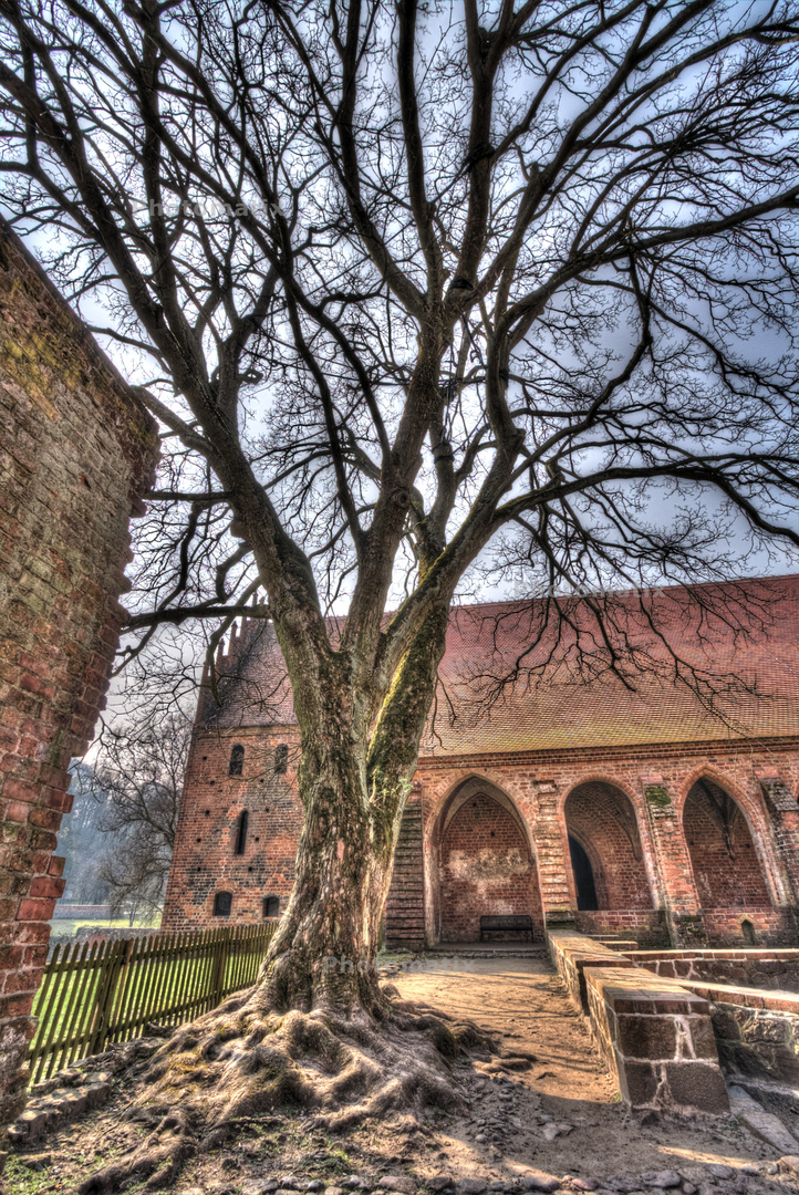 Kloster Chorin 5