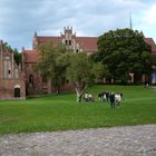 Kloster Chorin !