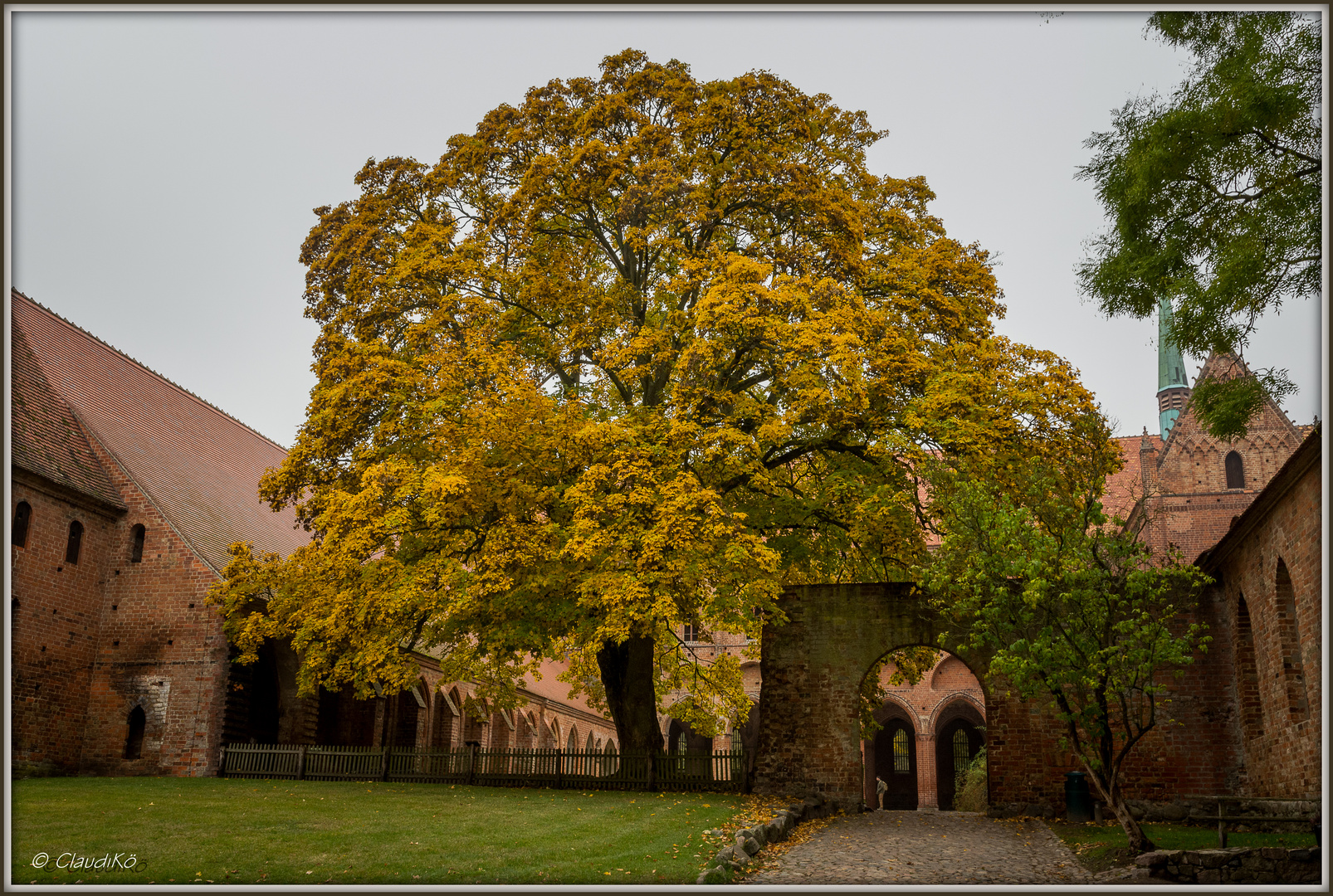 Kloster Chorin mit seinem alten Baumbestand