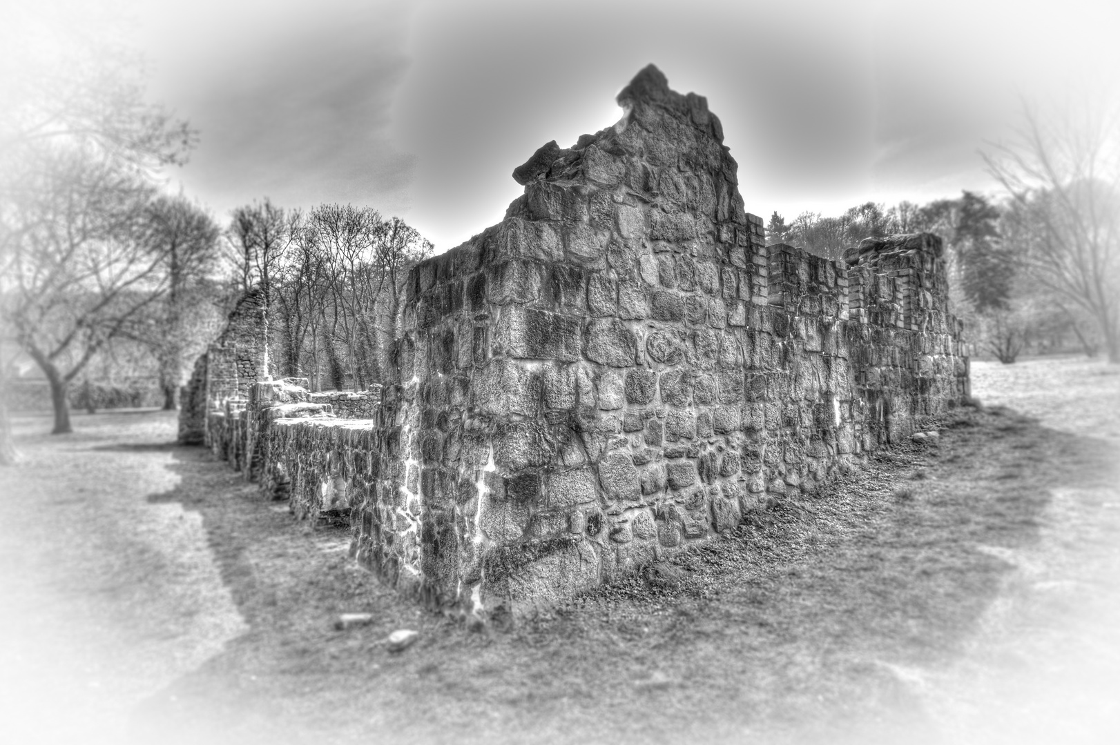 Kloster Chorin Ruine