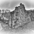 Kloster Chorin Ruine