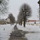 Kloster Dalheim - der Weg