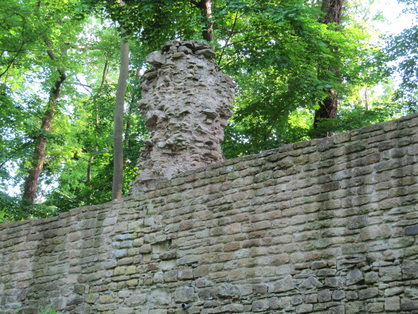 Kloster Disbodenberg Im Mai 2010