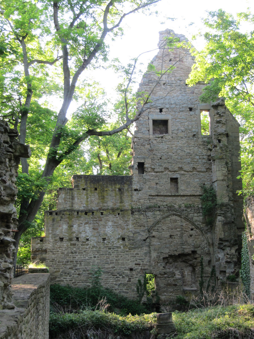 Kloster Disbodenberg Mai 2010