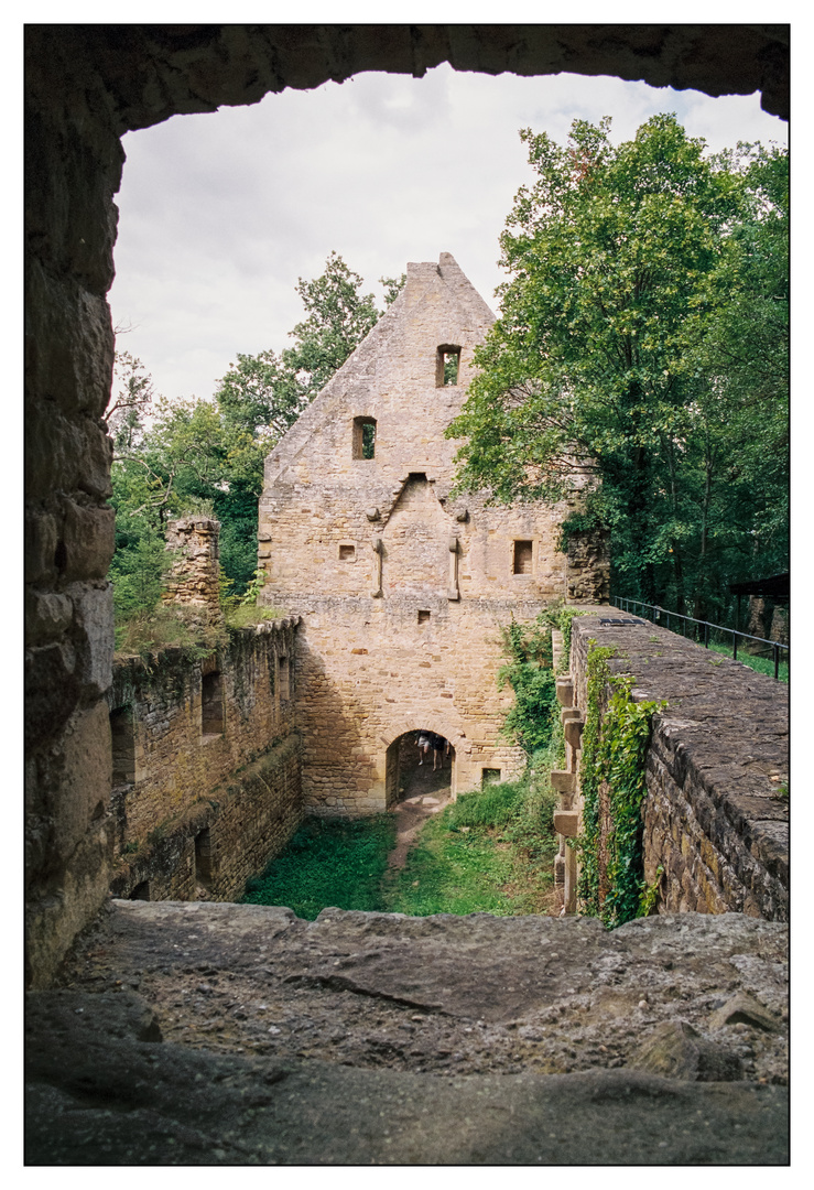 Kloster Disibodenberg