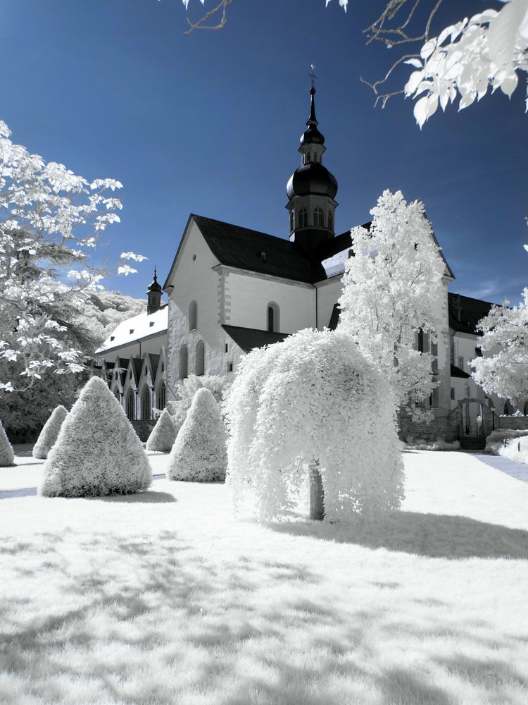 Kloster Eberbach