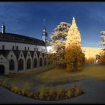 Kloster Eberbach @700nm