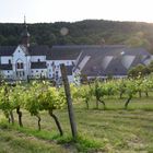 Kloster Eberbach