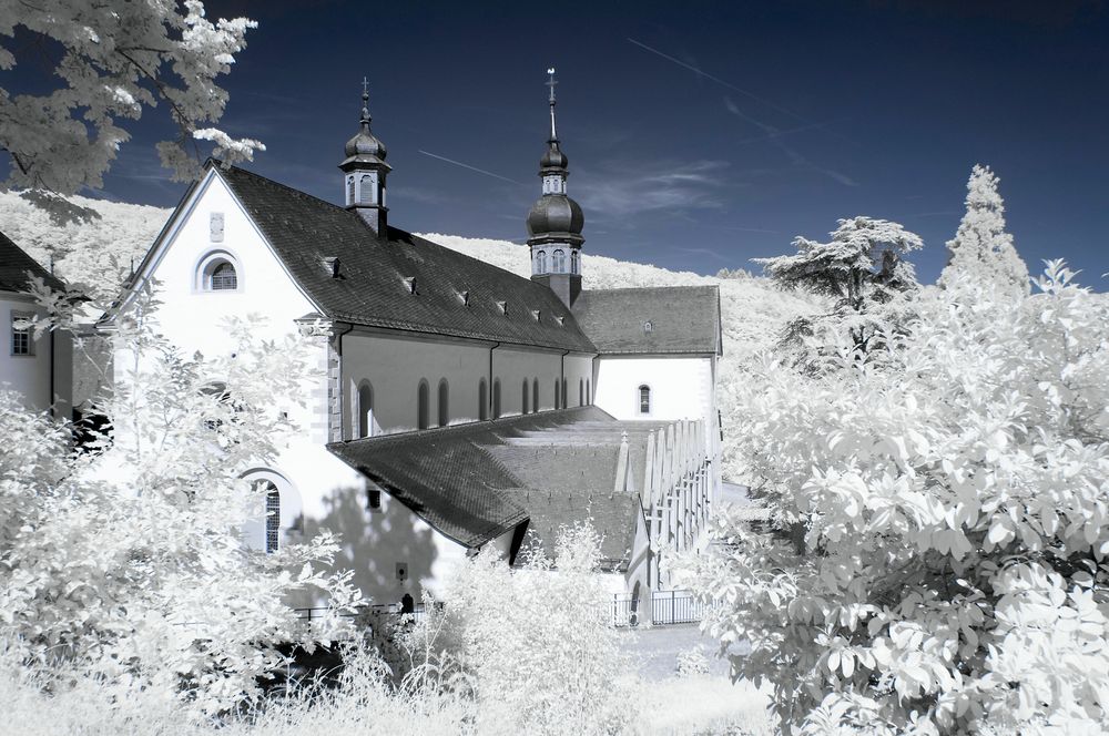 Kloster Eberbach