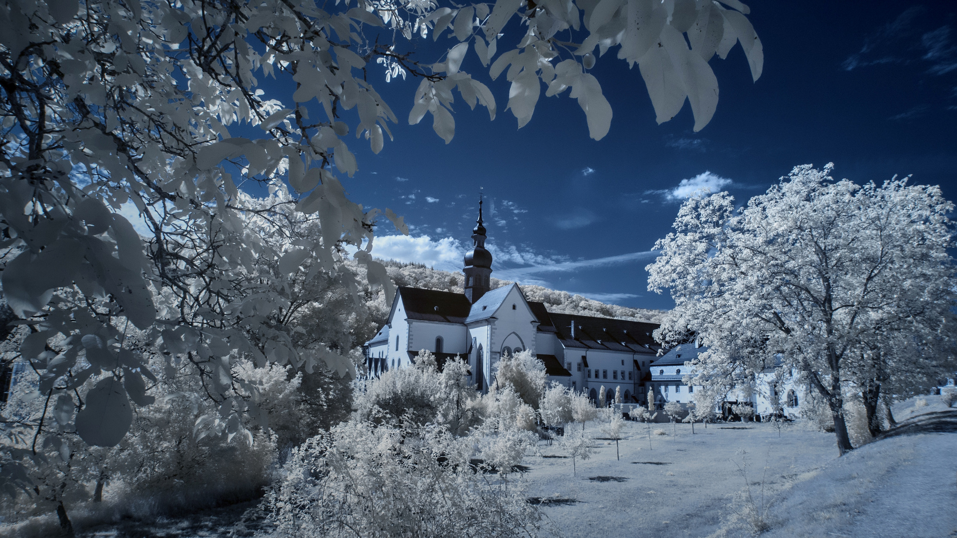 - Kloster Eberbach -