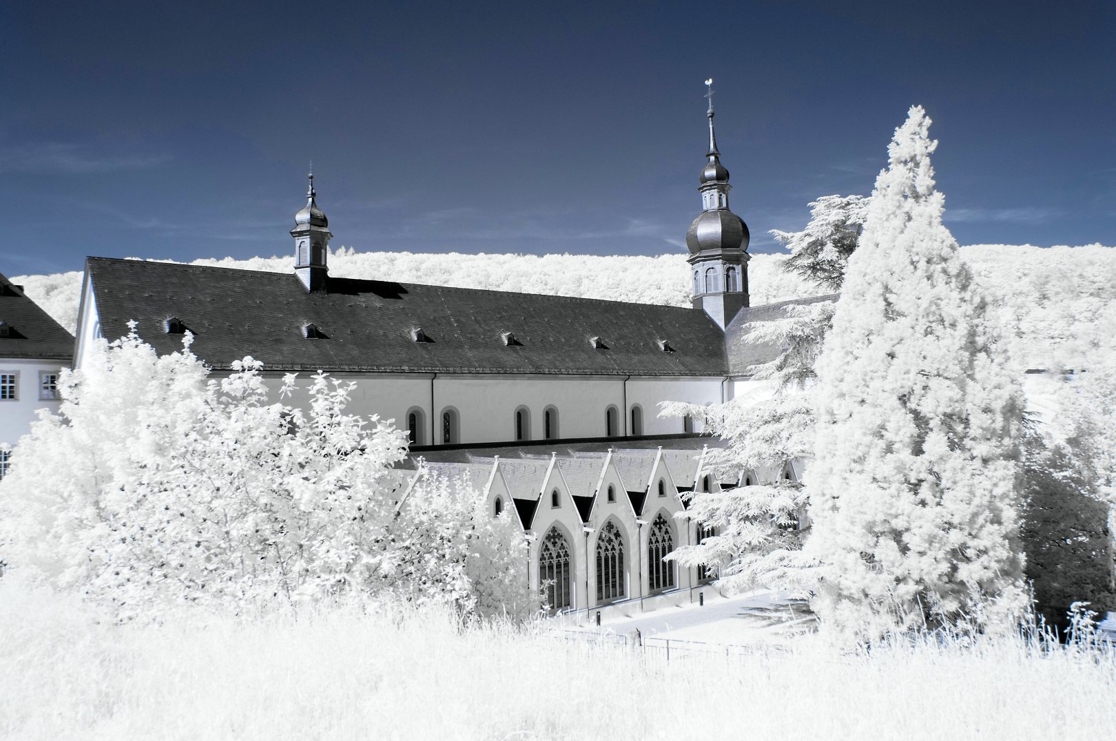 Kloster Eberbach