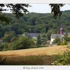 Kloster Eberbach II