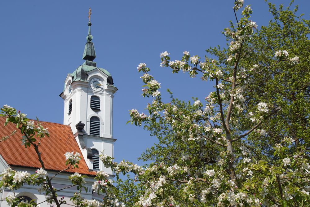 Kloster Elchingen