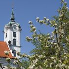 Kloster Elchingen