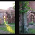 kloster eldena - vom kreuzgang zum kreuzblick;-)