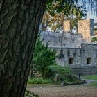 Kloster Gethsemane II - Goslar/Harz