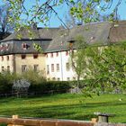 Kloster Glindfeld 2