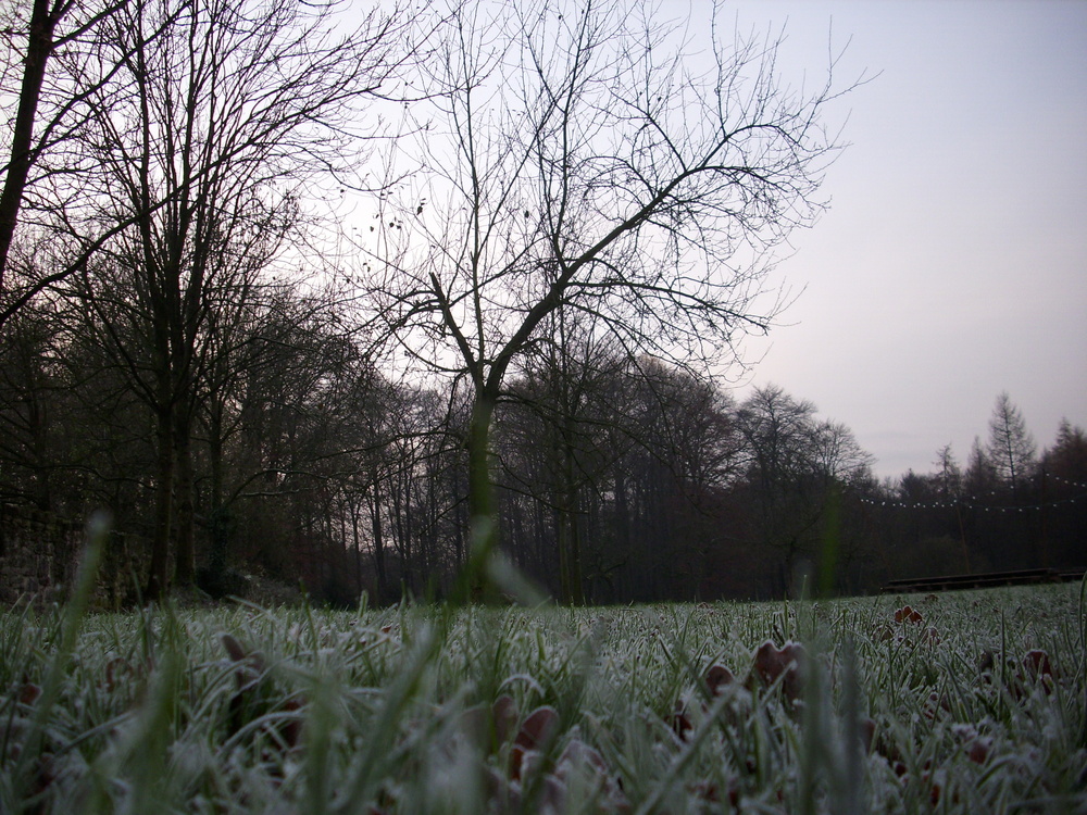 Kloster Gravenhorst Parkfläche im Winter