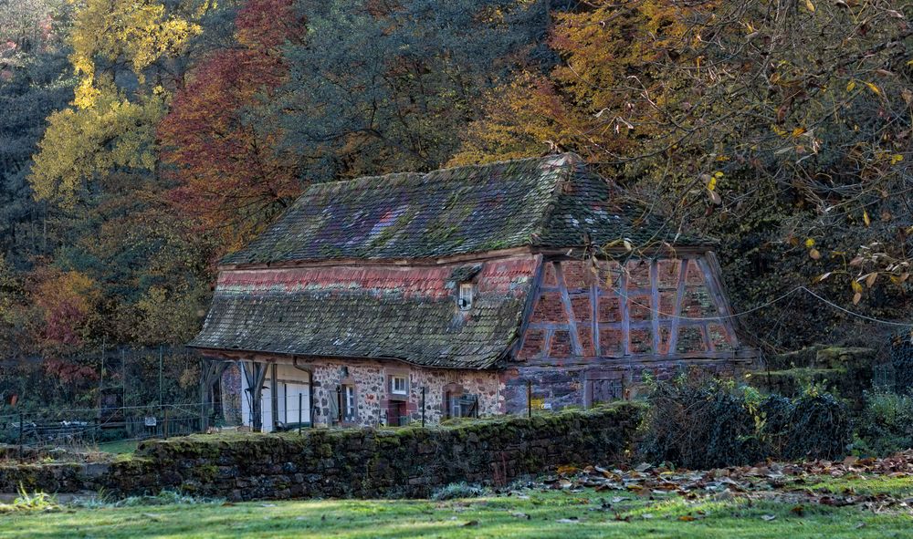 Kloster Grünau (Kartause Neuzell) an einem wunderschönen Herbsttag - 2-