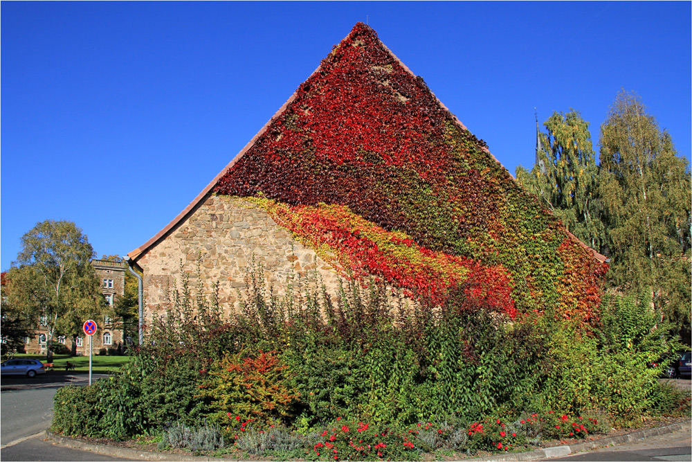 KLOSTER HAINA -2-