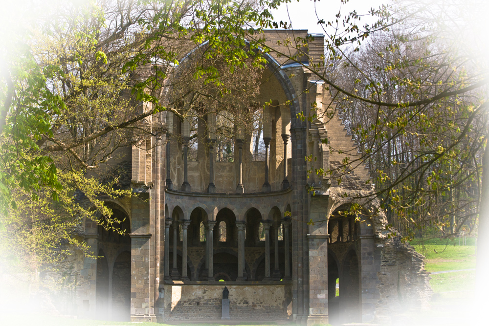 Kloster Heisterbach ( Chorruine )