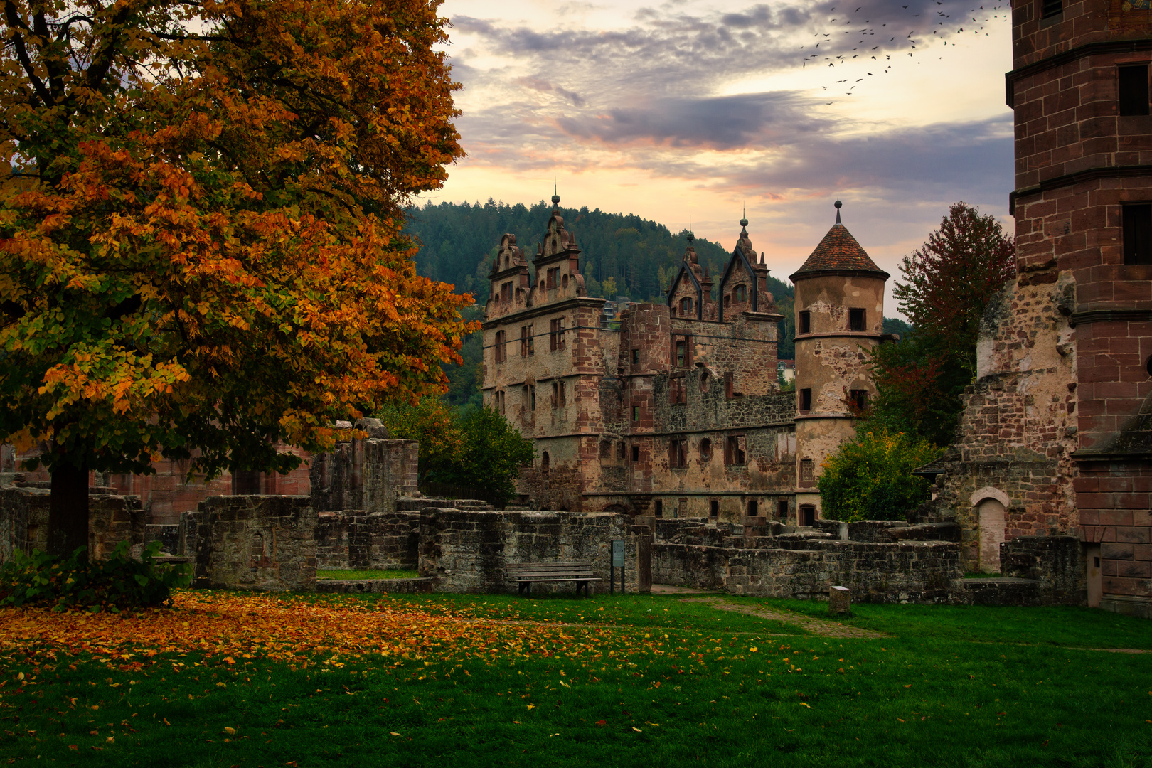 Kloster Hirsau