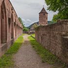 Kloster Hirsau: Kreuzgang und Torturm