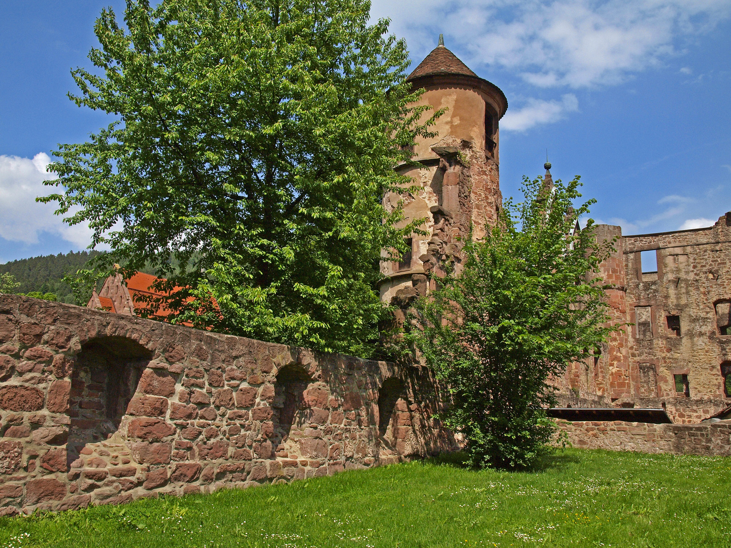 Kloster Hirsau VI