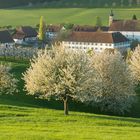 Kloster Hortus Dei