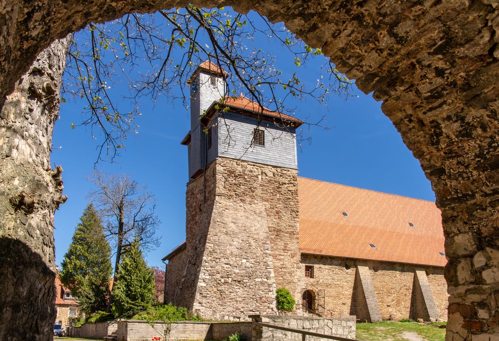 Kloster Ilsenburg II - Harz